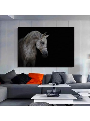 Yemek Odası Kanvası – Siyah Beyaz At Figürü, Hint Deseni