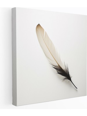 Popcas Minimalist Kuş Tüyü Kanvas Tablo - Zarif Doğal Hafif