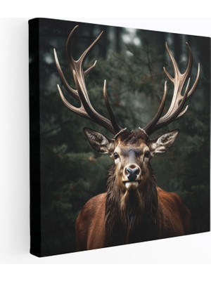 Popcas Elk Duvar Dekorasyonu - Mağrur Boynuzlar - Kanvas Tablo Elk