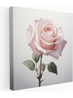 Popcas Pembe Gül Botanik Kanvas Tablo