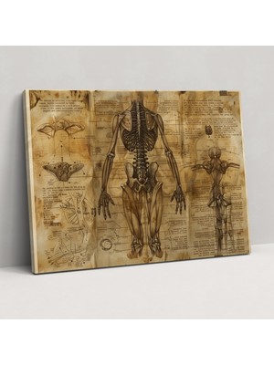 Popcas Sürreal Anatomi Leonardo Da Vinci Duvar Dekorasyonu - Ev Dekorasyonu Kanvas Tablo Duvar Dekorasyonu
