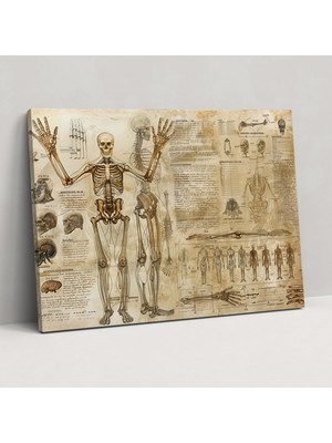 Popcas Leonardo Da Vinci Anatomi Tablosu - Tuval Duvar Sanatı Ev Dekorasyonu Için Leonardo Da Vinci Tuval