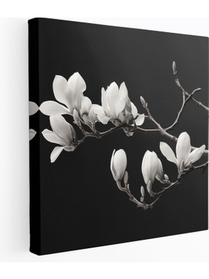 Popcas Manolya Dalı Kanvas Tablo - Manolya Dal Kanvas Duvar Sanatı
