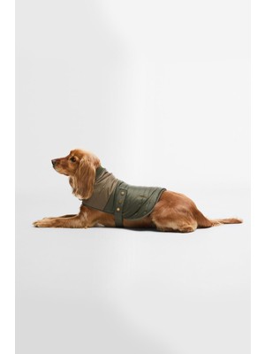 Barbour Brampton Kapitone Köpek Montu OL71 Olive/khaki