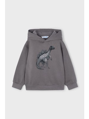 Erkek Çocuk Dinozor Baskılı Kapüşonlu Sweatshirt - Gri
