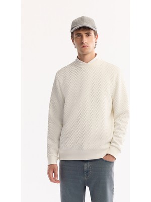 AVVA Erkek Ekru Bisiklet Yaka Dokulu Elastan Regular Fit Sweatshirt A52Y1216