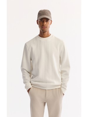 Avva Erkek Ekru Bisiklet Yaka Çizgili Elastan Regular Fit Sweatshirt A52Y1218