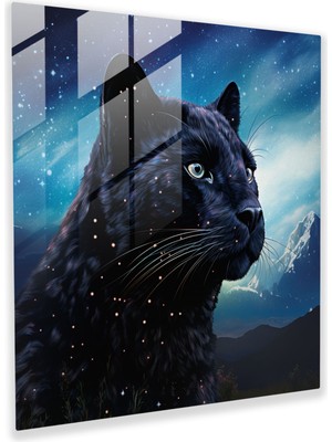 Popcas Yıldızlı Gece Siyah Panter Cam Tablo - Ev Dekorasyonu