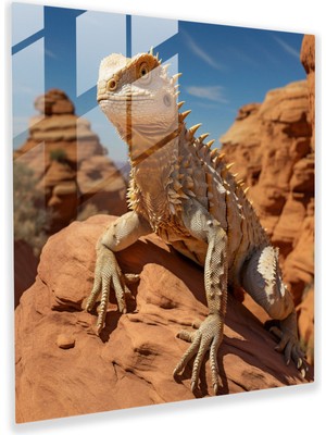 Popcas Çöl Kamuflaj Cam Tablo - Çöl Doğal Taş Formasyon Cam Sanat