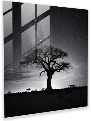 Popcas Büyüleyici Baobab Cam Tablo - Minimalist Siyah Beyaz Fotoğraf Cam Duvar Sanatı Ev Dekorasyonu Için