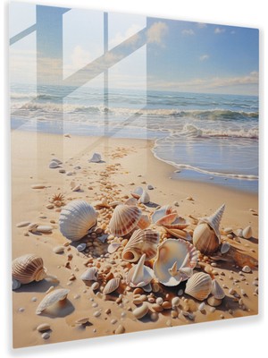 Popcas Deniz Kabuğu Hazinesi Cam Tablo - Plaj Nostalji Deniz Kabukları