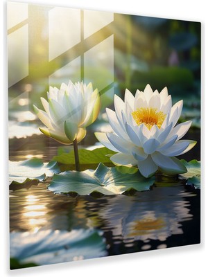 Popcas Asya Lotus Çiçeği Cam Duvar Sanatı - Asya Modern Sanat Huzur Asya Özü
