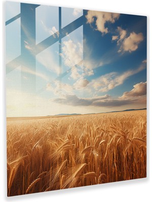 Popcas Bej Buğday Tarlası Cam Tablo - Modern Sanat Duvar Dekorasyonu