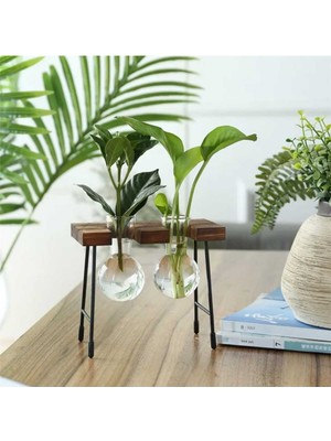 Hidroponik Bitki Vazosu Vintage Ahşap Stand