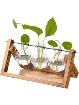 Hidroponik Bitki Vazosu Vintage Ahşap Stand