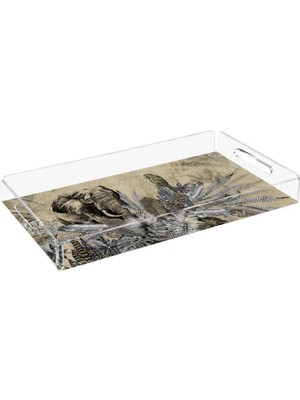 Figüratif Fil Pleksi Tepsi - PT2121 - 40X24CM