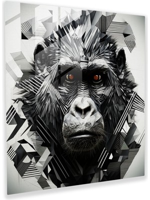 Popcas Geometrik Gorilla Cam Tablo - Goril Cam Duvar Sanatı Ev Dekorasyonu Karşıtlık Siyah ve Beyaz