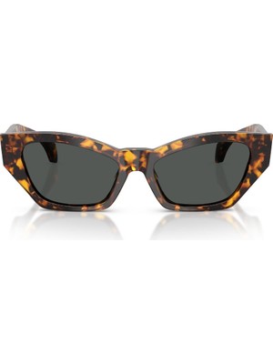 Versace Güneş Gözlüğü VE4488U 53 551487