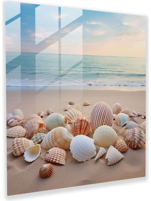 Popcas Deniz Kabuğu Koleksiyonu Cam Tablo - Hala Yaşam Ev Dekorasyonu Kumlu Plaj