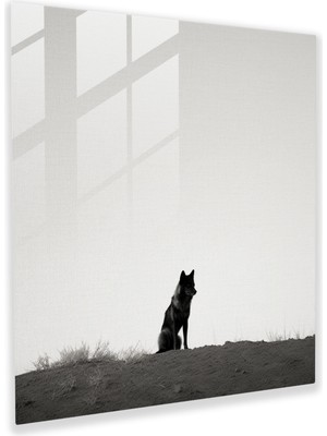 Popcas Vahşi Yaşam Cam Tablo - Uzaklara Bakan Yalnız Kurt - Vahşi Yaşam Siyah Beyaz Fotoğraf Cam Tablo Cam Duvar Sanatı