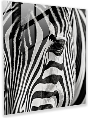 Popcas Şık Zebra Cam Tablo - Zebra Modern Sanat Şık Cam Tablo