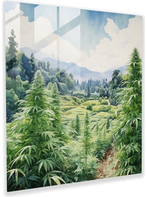 Popcas Marijuana Meadows Cam Tablo - Ot Modern Sanat Huzurlu Manzara Cam Duvar Sanatı