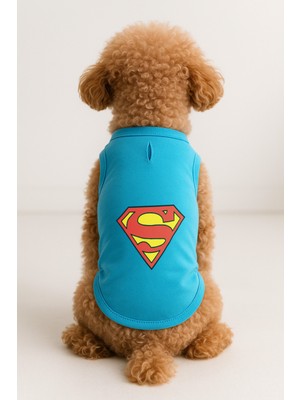 Kedi ve Köpek Kıyafeti & Elbisesi - Turkuaz Superman Atlet