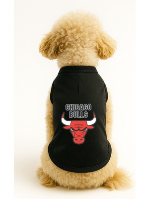 Kedi ve Köpek Kıyafeti & Elbisesi - Siyah Chicago Bulls Atlet