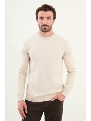 Desenli Slim Fit Bisiklet Yaka Erkek Triko Kazak