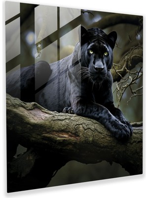 Popcas Etkileyici Siyah Panther Cam Tablosu - Panther Cam Sanatı Cam Tablo