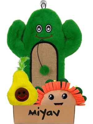 Miyav Meksika Temalı Kedi Oyuncak Seti | Hışırtılı Kaktüs Tırmalama, Çıngıraklı Taco ve Hışırtılı Avokado