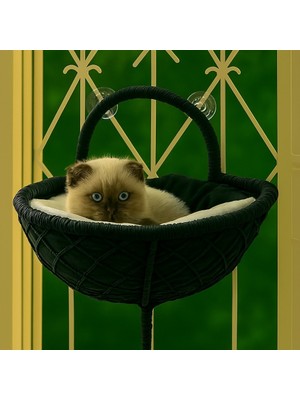 Teknor Gezegen Kedi Cam Yatağı & V Cam Yatağı & Kedi Pencere Yatağı