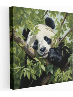 Popcas Hayalperest Panda Kanvas Tablo