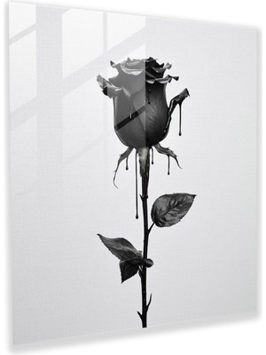Popcas Baba Cam Tablosu - Minimalist Siyah Gül - Modern Sanat Duvar Dekorasyonu