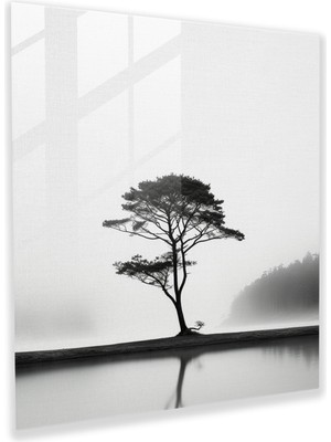 Popcas Gri Vaha Cam Tablo - Gri Duvar Dekorasyonu Siyah ve Beyaz Fotoğraf Cam Sanat