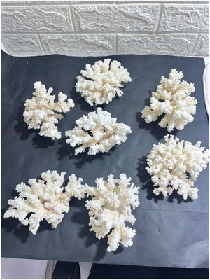 Mercan Doğaltaş Boy 5