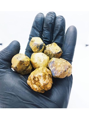 Garnet Doğaltaş Hafıza Güçlendirici