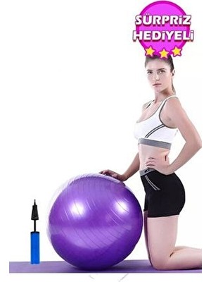 Leyaton Mor Pilates Topu 65 cm Deluxe Egzersiz Seti Şişirme Pompası ile Kullanım Amacı İçin Uygun