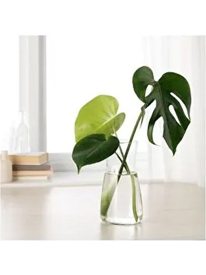 IKEA Dekoratif Vazo Karaf Küçük Boy Yükseklik: 20 cm Çap: 11 cm Hacim: 1.0 Lt Saydam Cam