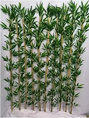 150 cm Islak Doku Bambu 20 Adet