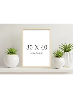 Ahşap Beyaz Renk 30X40CM 1 Adet Boş Çerçeve