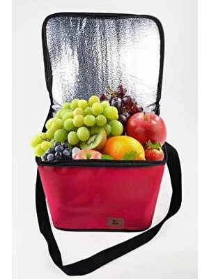 Woys 30 Lt Kırmızı Termal Termos Soğutucu Çanta - 1 Buz Aküsü Hediye ile Taşınabilir