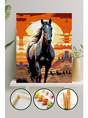 Sayılarla Boyama 40X50 cm Tuval Seti Fırça Boya Dahil Çıtaya Gerili - Siyah Inci