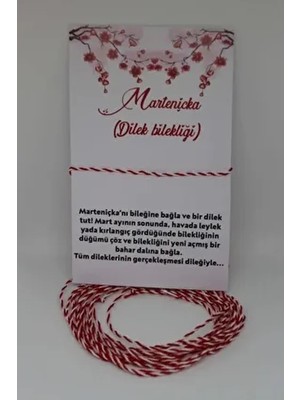 Pijama Aşkım 10'lu Marteniçka Bileklik - Dilek Bilekliği - Şans Bilekliği Deri Malzeme ile Şans Getirir
