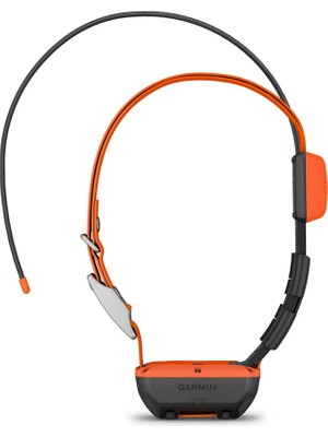 Garmin Alpha T 20 - Köpek Tasması