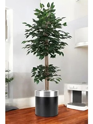 Yapay Benjamin Ağacı Bambu Gövdeli Yeşil (Şık Metal Sıyah Saksılı) 150 cm