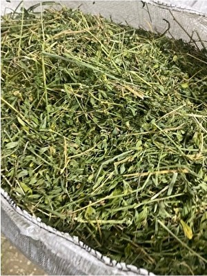 Güven Yem Yonca Kuru Kemirgen Otu  2 kg bol çiçekli