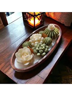Saksıda Kaktüs Seti- 8’li Mini Dekoratif Sukulent, Hediyelik Mum Seti