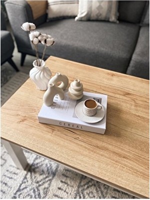 4'lü Set Iskandinav Tarzı Organik - Minimal Vazo Set Bohem Pinterest Dekoratif Obje Pampas Vazosu