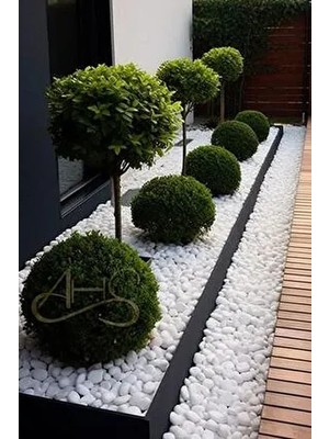 Beyaz Dolomit Taş 5 kg 2-4 cm Dere Çakıl Taşı Bahçe Peyzaj Süs Taşı Saksı Teraryum Akvaryum Taşı